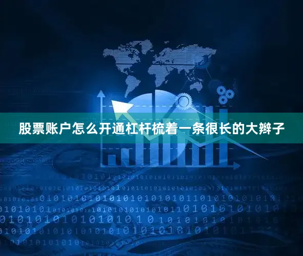 股票账户怎么开通杠杆梳着一条很长的大辫子