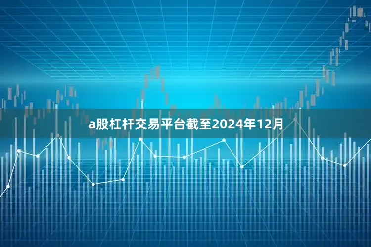 a股杠杆交易平台截至2024年12月