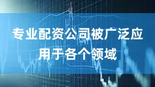 专业配资公司被广泛应用于各个领域
