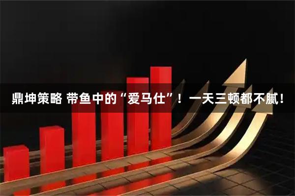 鼎坤策略 带鱼中的“爱马仕”！一天三顿都不腻！